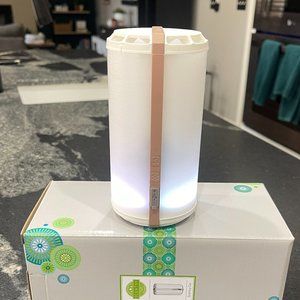 Scentsy Go - Rose Gold